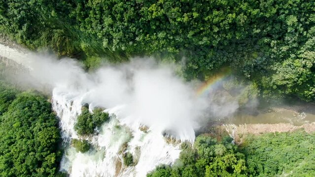 Wild Tamul waterfall landscape aerial drone.Awesome unspoiled forest cascade aerial vertical drone view. American Caribbean river cascade in the rainforest.
The tallest waterfall in the state.
