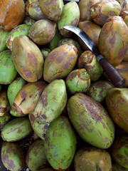 Green coconuts with the machete knife, healthy organic food, nut. Autumn harvest, farmers market stall, natural texture.