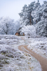 Pestruper Gräberfeld in Winterlandschaft