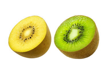 キウイ イラスト リアル キウイフルーツ セット 