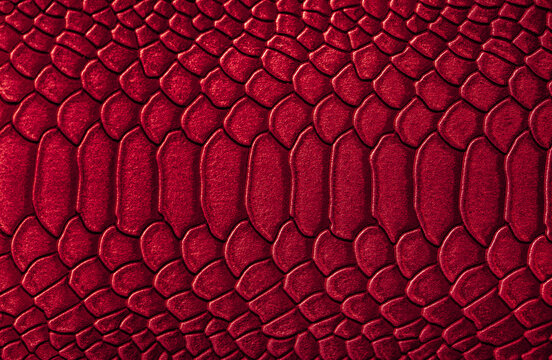 Beautiful red, pink bright snake or crocodile skin, reptile skin texture, multicolored close-up as a background.