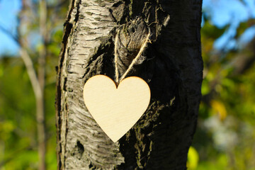 Drewniane serce wiszące na pniu drzewa - obrazy, fototapety, plakaty