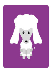 French poodle dog Vector