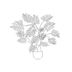 vector illustration drawing line home plant Philodendron