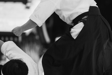 柔術の演武（Demonstration of Ju-jitsu）