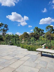 Retiro park. Garden of Madrid with roses in a cloudy day. Blue sky