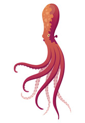 Octopus cartoon flat character with suckers on hands. Aquatic fauna icon. Animal illustration for zoo ad, nature concept. Cute color octopus, sea animal with tentacles