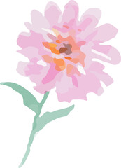 watercolor hand painted Rose Flower botanical leaf