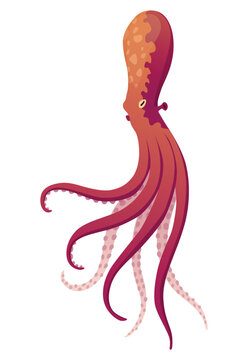 Octopus cartoon flat character with suckers on hands. Aquatic fauna icon. Animal illustration for zoo ad, nature concept. Cute color octopus, sea animal with tentacles