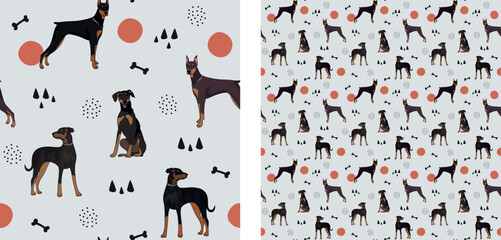 Medium-large breed.Seamless dog pattern, cute. Square format texture, t-shirt, poster, packaging, textile, socks, textile, fabric, decoration, wrapping paper. Trendy hand-drawn Dobermann illustration.