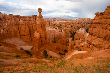 red rock hoodoos in Bryce Canyon National Park - Powered by Adobe