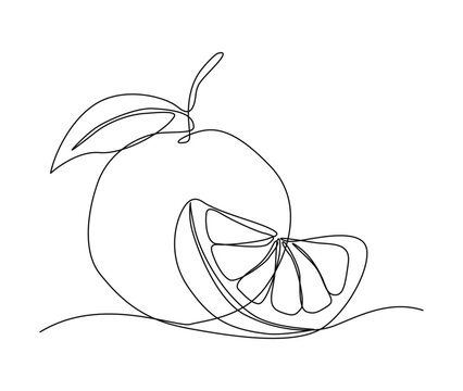 Continuous one line drawing of Orange Fruit with leaf. slice of orange fruit hand drawn single line art vector illustration.