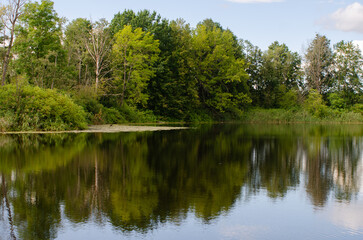 Fototapeta na wymiar trees reflecting in the forest lake