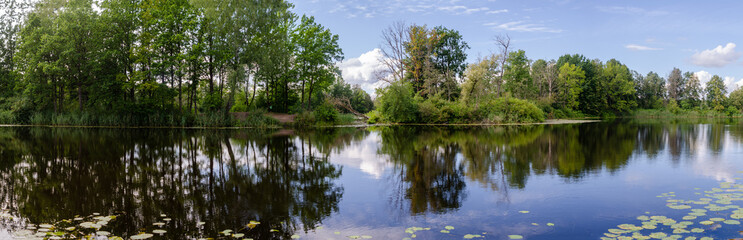 panorama with trees reflecting in the forest lake