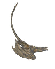 Fototapeta premium dragon is diving and flying on white background