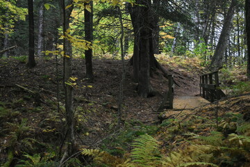La Plaine 7 Octobre 2022