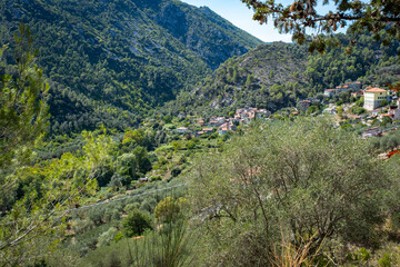 Fototapeta na wymiar Aerial panorama of the village of Olivetta (Province of Imperia, Ligurian Region, Northern Italy). Located near the Italian-French borders, where a fine olive oil is produced.