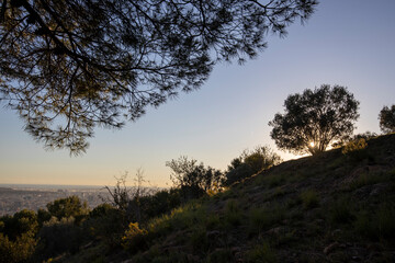 Fototapeta na wymiar Outskirts of Barcelona on a sunny day. Stage landscape.