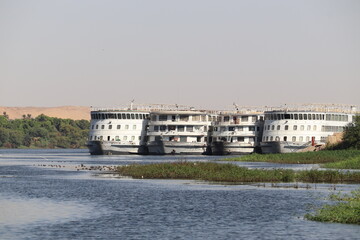 Fototapeta premium Nile Cruise ships parked on riverside in Aswan, Egypt 