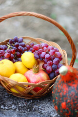 Hokkaido pumpkins and vintage baskets filled with various autumnal produce in the garden. Selective focus.