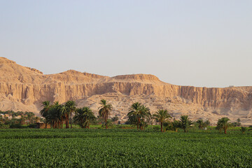 Landscape of the west bank of Nile in Luxor 