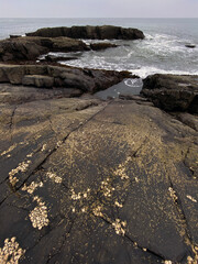 Textured rock mass near Taj Fort Aguada Resort and Spa, Goa