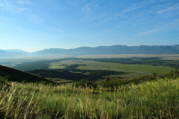 Top view from the mountain to the Kuraiskaya steppe with the river, trees in summer at dawn, in the foreground dense grass, in the background a mountain range, Kurai steppe, Chuisky ridge