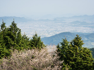 Scenic view over the city of Kan-Onji from the top of Unpenji ropeway with cherry tree blooming -...