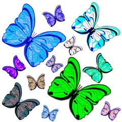 Farfalle colorate in volo