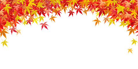 もみじ 紅葉 葉 イラスト リアル 背景