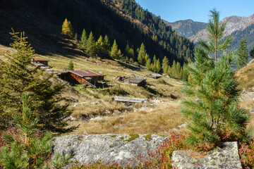 Berglandschaft mit Hütten aus Holz in den herbstlichen Alpen