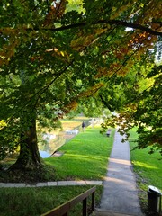 path in the park