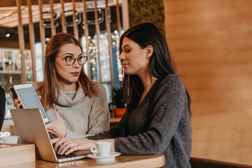 Two young business women sitting at table in cafe. Girl shows colleague information on laptop...
