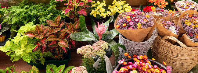 panoramic image of a flower and plant stand