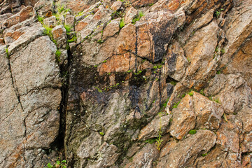 A stone with a black substance that oozes out of cracks. Rock of magmatites of the Ukrainian crystalline shield in Kremenchuk city. Rock formation outdoors