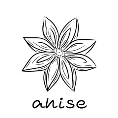 Anise star hand drawn. Anise in doodle and sketch style. Single element. Isolated vector illustration isolated on white background.