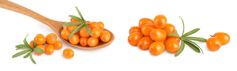 Sea buckthorn. Fresh ripe berry with leaves in wooden spoon isolated on white background macro
