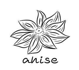 Anise star. Plant, flower, spice. Single element. Drawn by hand. Doodle, sketch, icon. Vector illustration for seasonal design, menu, print. On a white background.