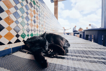 Tiny black kitten lying on terrace.