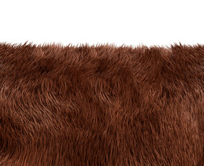Animals fur texture
