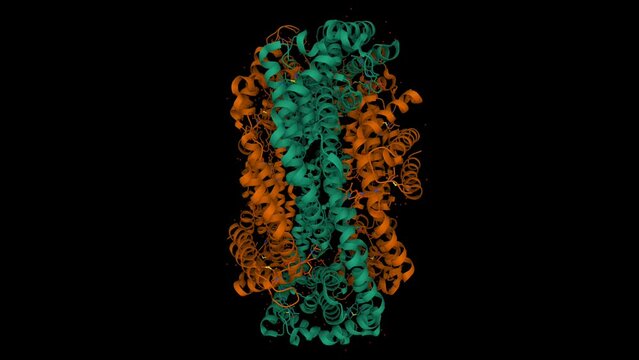 Crystal structure of c-phycocyanin of Synechococcus vulcanus. Animated 3D cartoon and Gaussian surface models, entity id color scheme, PDB 1i7y, black background