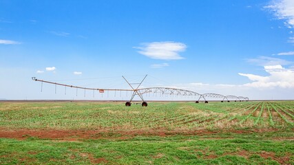 Large metal center pivot irrigation system in lush green field under blue cloudy sky - Powered by Adobe