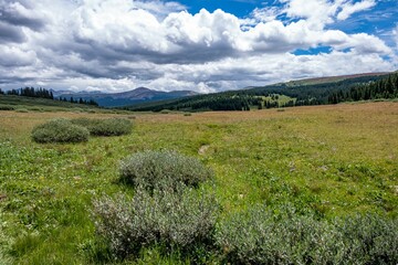 Lush green vegetation of Shrine Pass mountain pass in Colorado, USA under blue cloudy sky