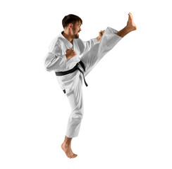 Karate master. Isolated background - 536392432