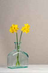 Two yellow daffodils in a glass vase, a bottle on a gray background. Tenderness. Calm. Spring, festive mood. Lightness and joy. The test of life. Still life