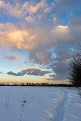 Winter evening landscape with clouds over a snowy field.