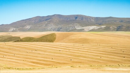 Landscape of hay fields on the background of rocky hills