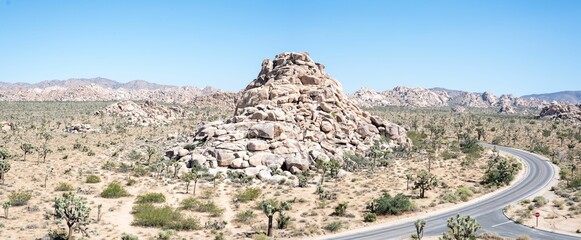 Highway road through the deserted rocky lands with cacti on a bright sunny day