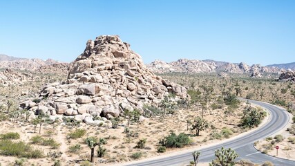 Highway road through the deserted rocky lands with cacti on a bright sunny day