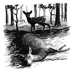A small roe deer stands over a dead mother , who has fallen into snares. Black and white illustration handmade in pen.
